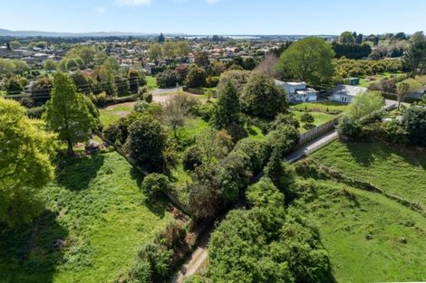 Photo of property in 288 Cambridge Road, Bethlehem, Tauranga, 3110