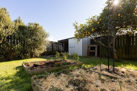 Photo of property in 51 Puriri Crescent, Edgecumbe, 3120