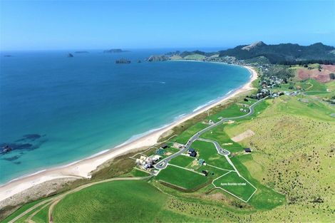 Photo of property in 16 Joyce Place, Opito Bay, Whitianga, 3592
