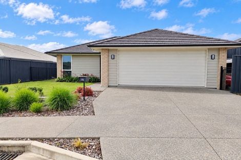 Photo of property in 116 Sentinel Avenue, Omokoroa, 3114