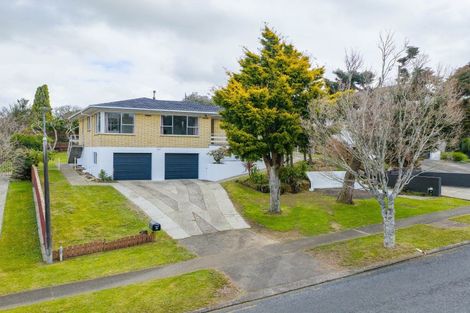 Photo of property in 15 Maple Avenue, Dinsdale, Hamilton, 3204