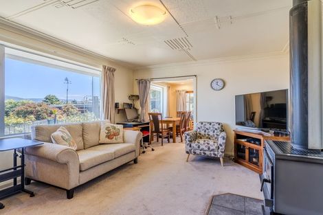 Photo of property in 133 Tahuna Road, Andersons Bay, Dunedin, 9013