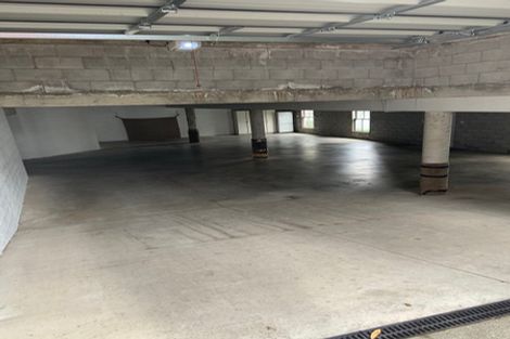 Photo of property in 36 Buller Street, Te Aro, Wellington, 6011