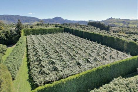 Photo of property in 6 Woodland Road, Johnsonville, Wellington, 6037