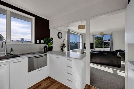 Photo of property in 159d Lemon Street, Strandon, New Plymouth, 4312