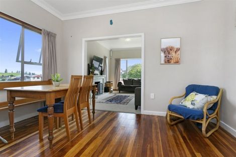 Photo of property in 20 Terrace Street, Putaruru, 3411
