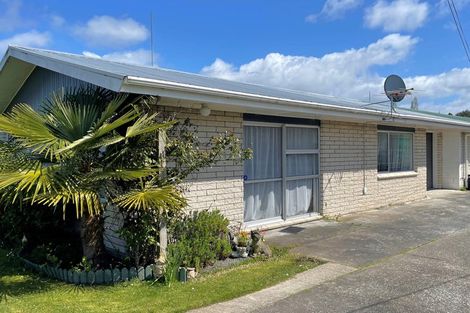 Photo of property in 3/21 Anzac Street, Te Kuiti, 3910