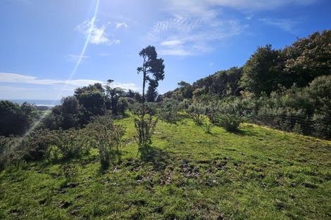 Photo of property in 45 Rutherglen Road, Rutherglen, Greymouth, 7805