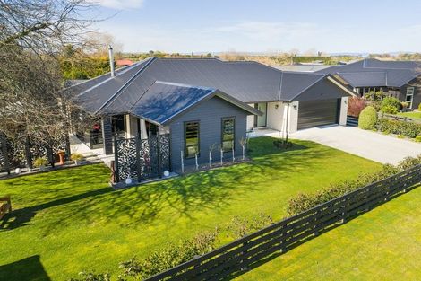 Photo of property in 166 Pharazyn Street, Feilding, 4702