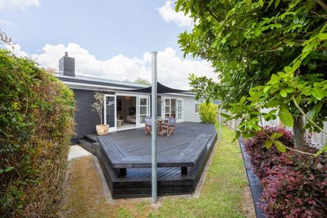 Photo of property in 16 Donny Avenue, Chartwell, Hamilton, 3210