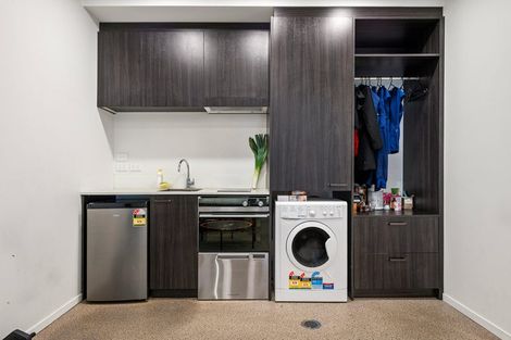 Photo of property in Aniva Terrace, 13 Arney Street, Newtown, Wellington, 6021