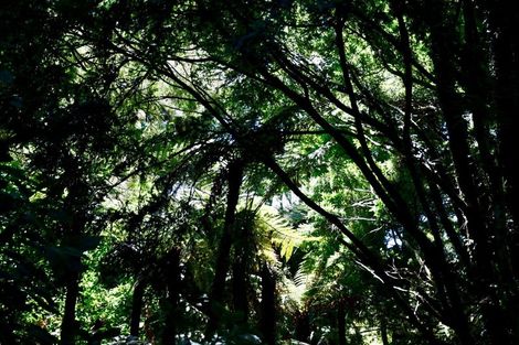 Photo of property in 21 Horncastle Crescent, Little Wanganui, Karamea, 7893