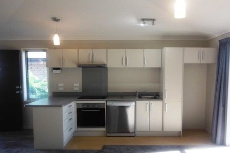 Photo of property in 54e Campbell Street, Frankton, Hamilton, 3204