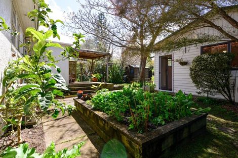 Photo of property in 38 Plunket Terrace, Hamilton East, Hamilton, 3216