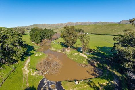 Photo of property in 453 Tetley Brook Road, Seddon, 7285