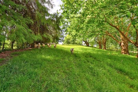 Photo of property in 215a No 3 Line, Whanganui East, Whanganui, 4582