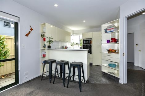 Photo of property in 53 Hawkesbury Avenue, St Albans, Christchurch, 8014