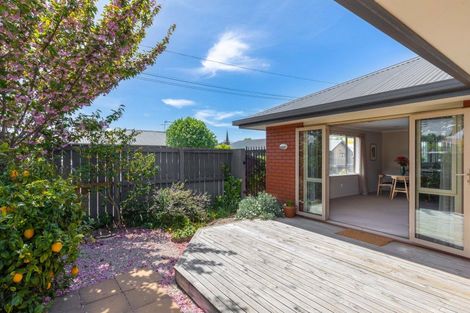 Photo of property in 113 Charles Street, Blenheim, 7201