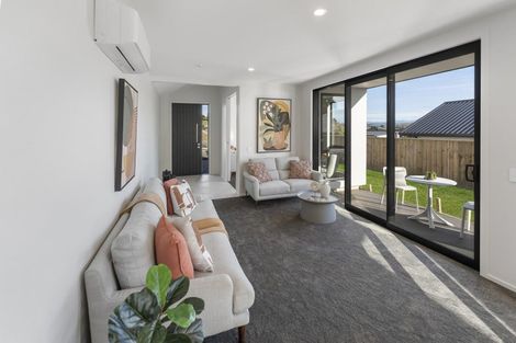 Photo of property in 43 Hart Road, Richmond, 7020