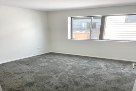 Photo of property in 17 Cyperus Street, Flat Bush, 2019