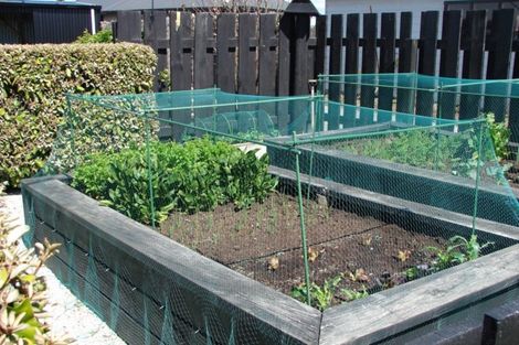 Photo of property in 10 Cornwall Street, Mossburn, 9792