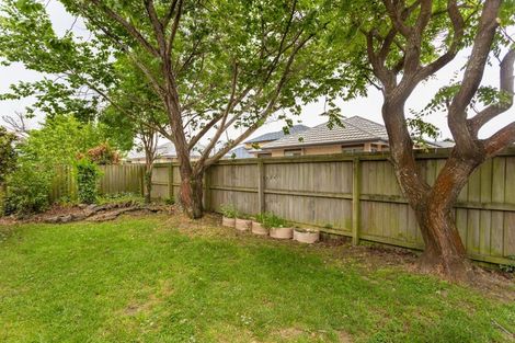 Photo of property in 2/23 Brougham Street, Addington, Christchurch, 8024