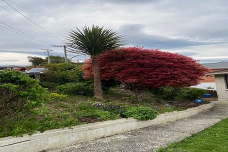 Photo of property in 12 Salisbury Road, Bradford, Dunedin, 9011