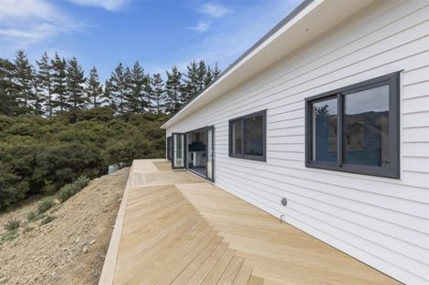 Photo of property in 1331a Coast Road, Wainuiomata Coast, Wainuiomata, 5373