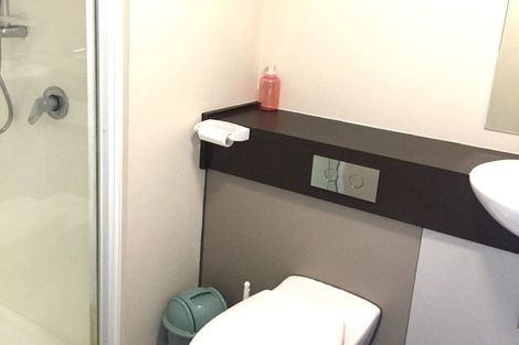 Photo of property in The Peak Apartments, 401/170 Taranaki Street, Te Aro, Wellington, 6011