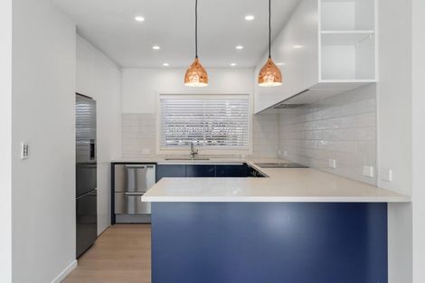 Photo of property in 22a Hazel Avenue, Mount Roskill, Auckland, 1041