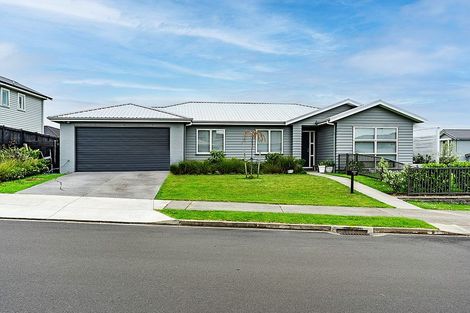 Photo of property in 24 Tyler Davies Drive, Red Beach, 0932