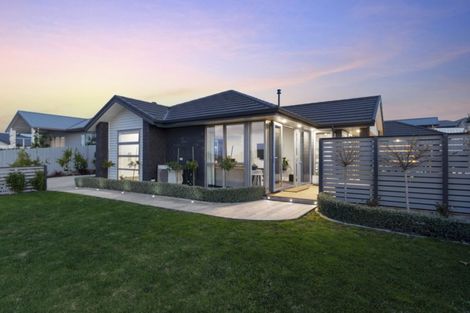 Photo of property in 169 Rowesdale Drive, Ohauiti, Tauranga, 3112
