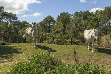 Photo of property in 452 Poripori Road, Lower Kaimai, Tauranga, 3171