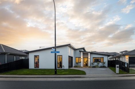 Photo of property in 107 Hare Puke Drive, Flagstaff, Hamilton, 3210