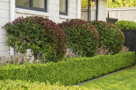 Photo of property in 3 Ellesmere Close, Pyes Pa, Tauranga, 3112