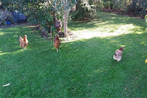 Photo of property in 15 Pottery Lane, Coromandel, 3506