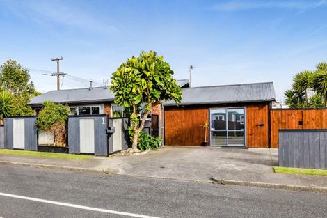 Photo of property in 1 Lynton Street, Upper Vogeltown, New Plymouth, 4310
