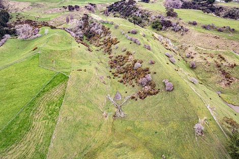 Photo of property in 256 No 2 Line, Okoia, Whanganui, 4572