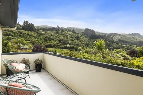 Photo of property in 45a Fulton Road, Glenleith, Dunedin, 9010