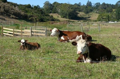 Photo of property in 37 Valley Road, Hikurangi, 0114