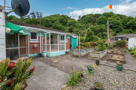 Photo of property in 14 Mcglashan Street, Glenleith, Dunedin, 9010