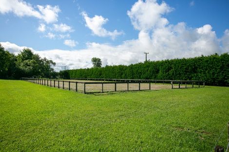 Photo of property in 1/31 Forrest Road, Cambridge, 3493