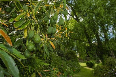 Photo of property in 70a Potae Avenue, Lytton West, Gisborne, 4010