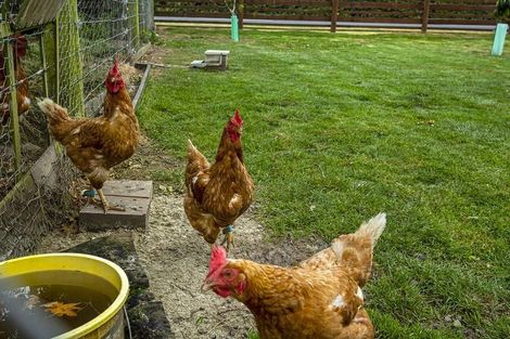 Photo of property in 41 Hazlett Road, Mosgiel, 9092