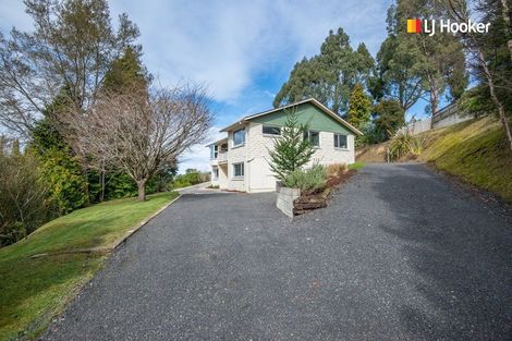 Photo of property in 31 Saint Albans Street, Bradford, Dunedin, 9011