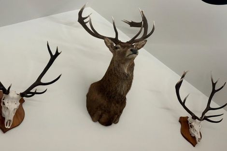 Photo of property in 2680 Double Hill Run Road, Double Hill, Methven, 7791