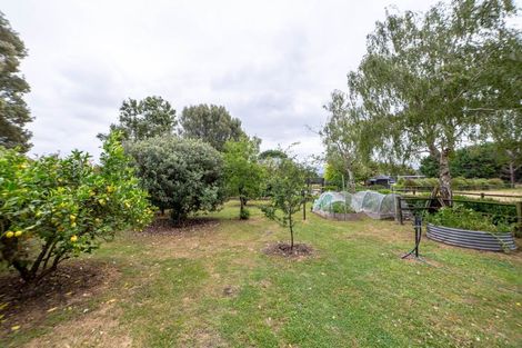 Photo of property in 439 Paierau Road, Opaki, Masterton, 5881