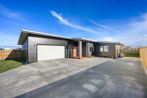 Photo of property in 10 Kanzan Grove, Feilding, 4702