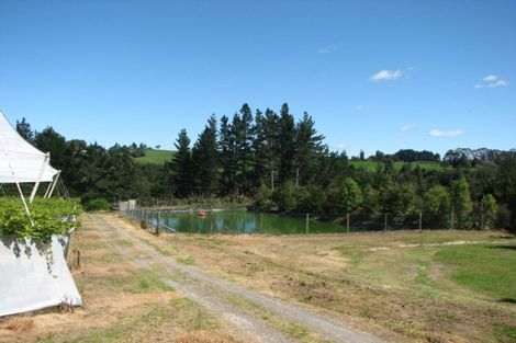 Photo of property in 1082 Te Matai Road, Te Ranga, Te Puke, 3188