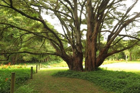 Photo of property in 130 Gibbons Road, Kaiwaka, 0573